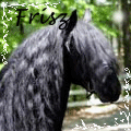 frisz.gif